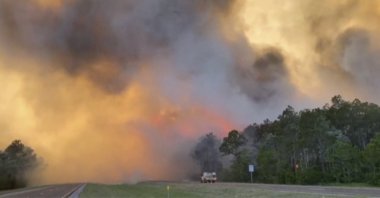 In this image made from video taken May 6, 2020 by the Florida Department of Agriculture and Consumer Services, fire and smoke rise from trees alongside a road in Santa Rosa County, Florida. (AP Photo)