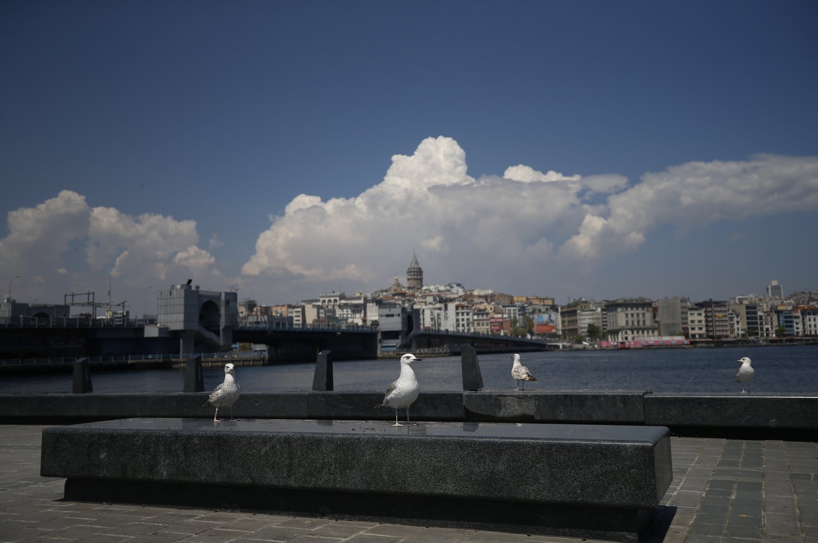 Seagulls are seen by the Golden Horn, deserted due to the coronavirus lockdown, in Istanbul, Turkey, May 1, 2020. (AP Photo)