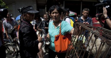 This picture shows animal-loving Yang Xiaoyun (C) going around buying some 100 dogs at a market in Yulin, in southern China's Guangxi province, June 20, 2015. (AFP Photo)