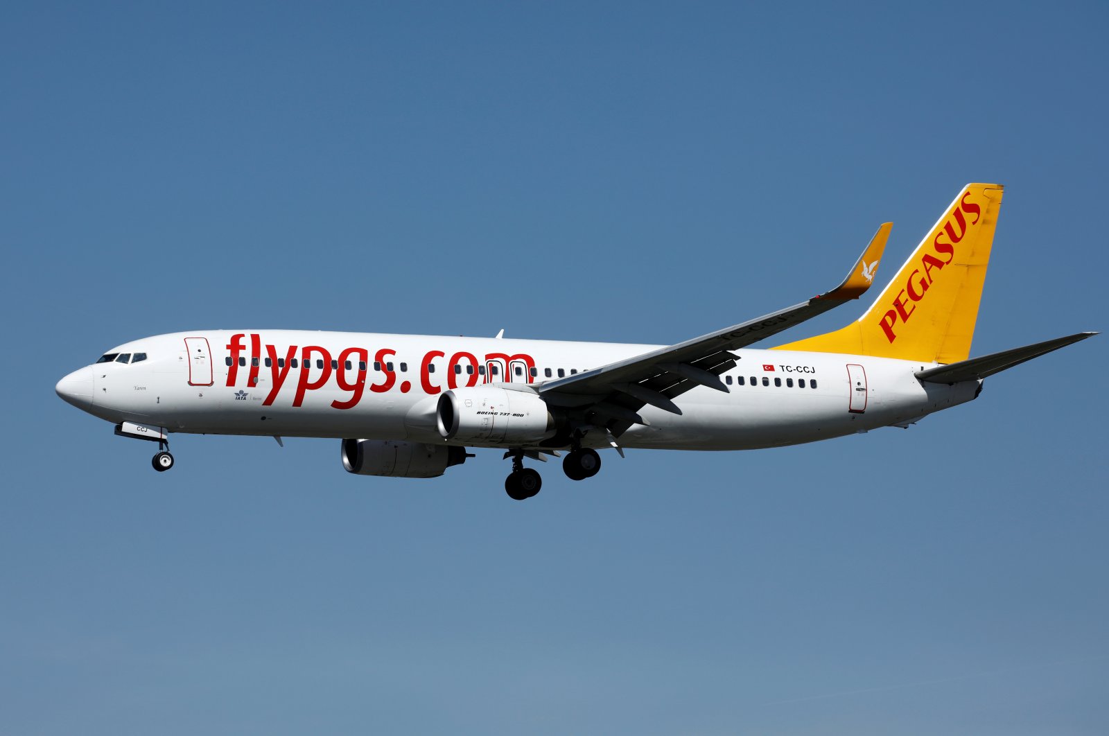 A Boeing 737-800 aircraft, operated by Pegasus Airlines, lands at Orly Airport near Paris, France, Sept. 6, 2019. (Reuters Photo)