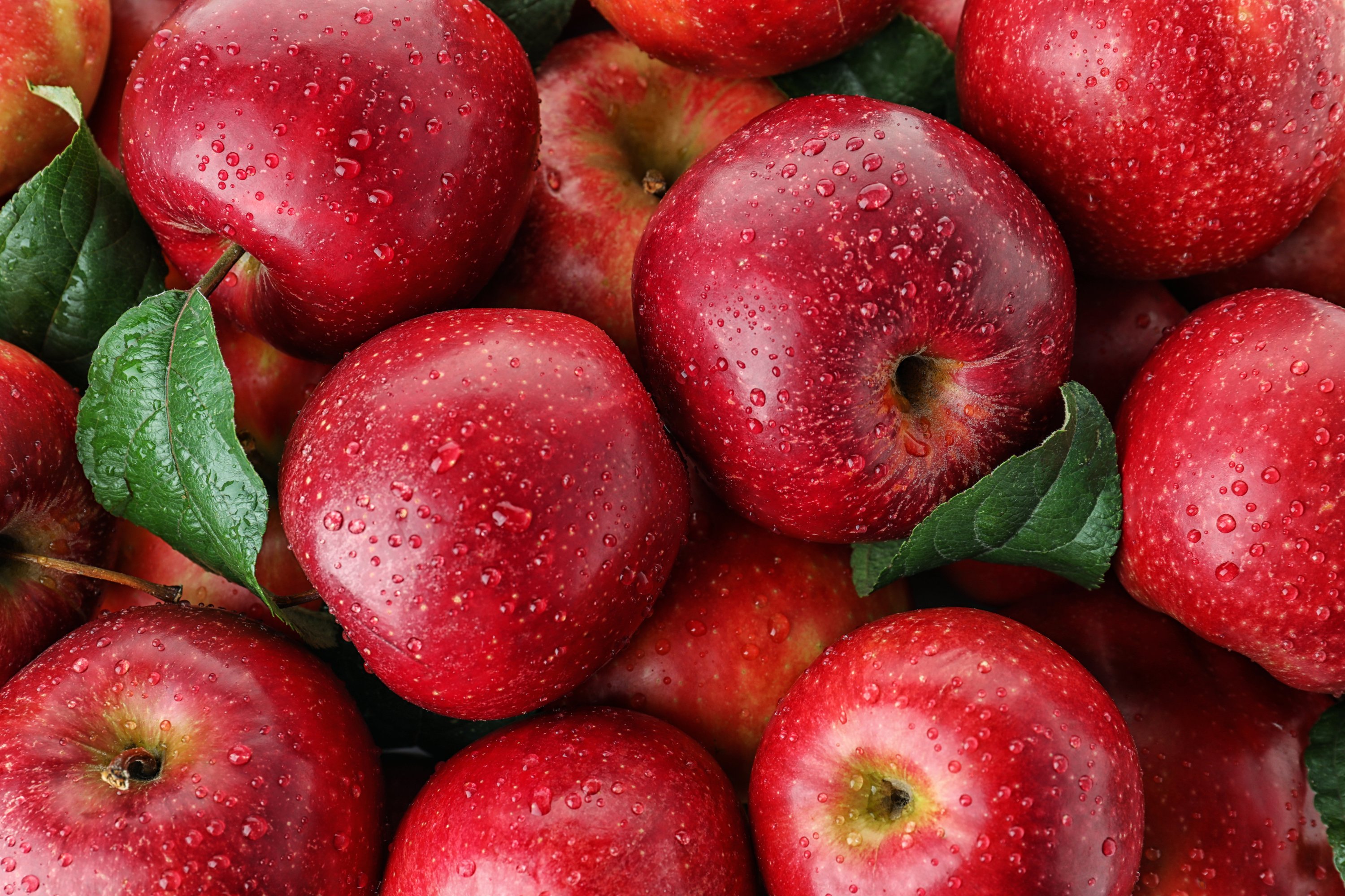 Turkish fruit producers get green light from Thailand's $210M apple market  | Daily Sabah