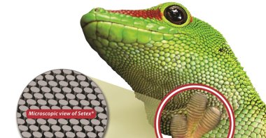 nanoGriptech is the first commercial manufacturer of gecko-inspired micro-structured dry adhesive ad surfaces for a wide range of applications.