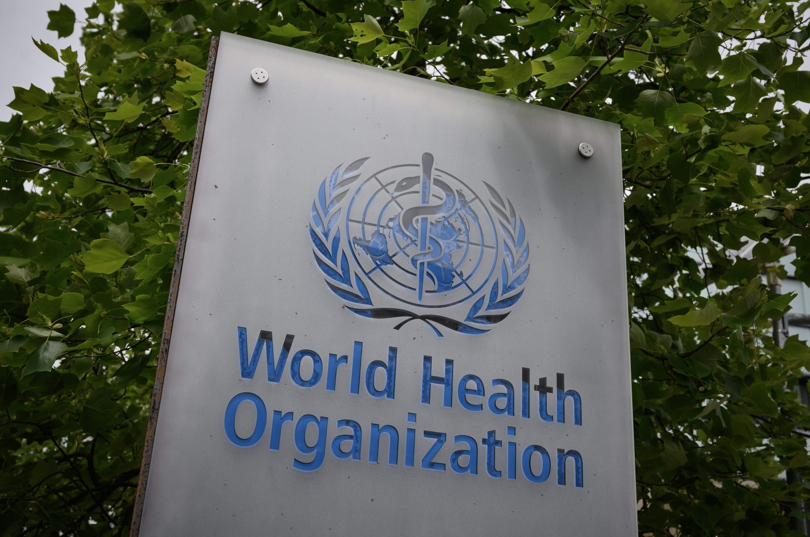 A sign of the World Health Organization (WHO) seen at its headquarters in Geneva, May 12, 2020. (AFP Photo)