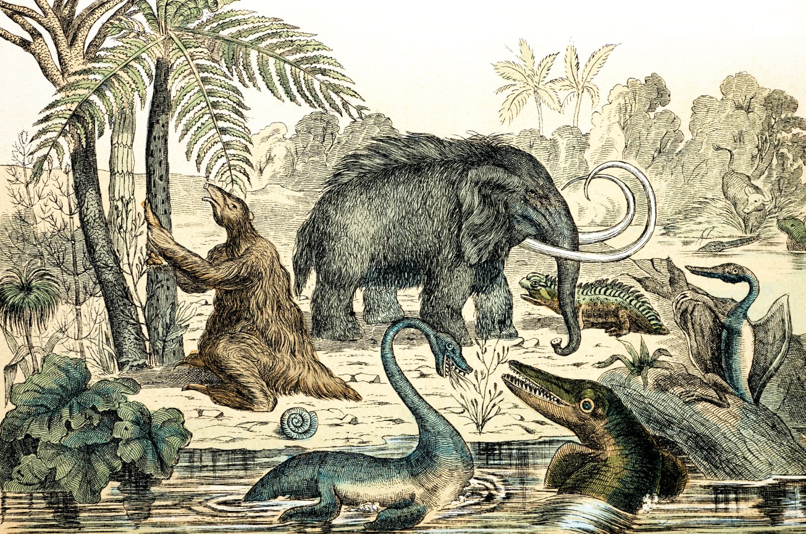 The world was once a stomping ground for a diverse range of megafauna. (iStock Photo)