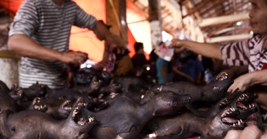 Roasted fruit bats are offered at the traditional meat market in Tomohon, North Sulawesi, Indonesia, Sept. 27, 2016. (EPA Photo)
