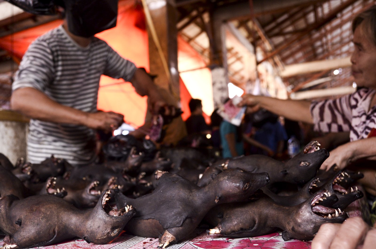 Roasted fruit bats are offered at the traditional meat market in Tomohon, North Sulawesi, Indonesia, Sept. 27, 2016. (EPA Photo)