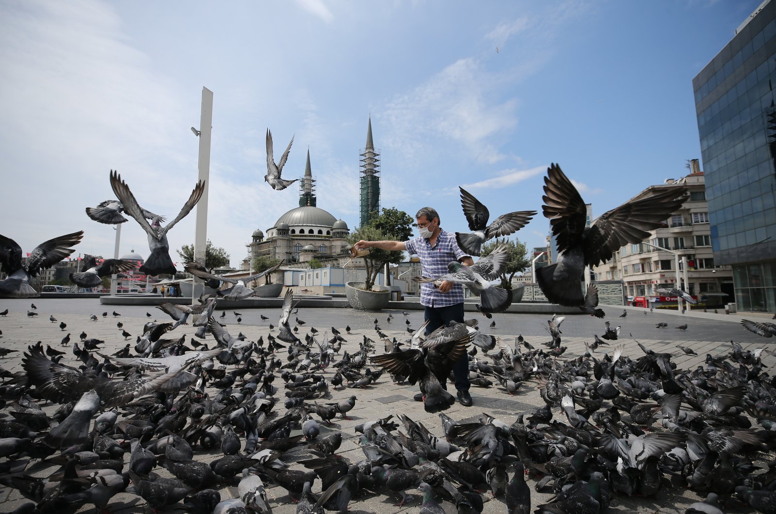 A man feeds the pigeons in Taksim Square, Istanbul, May 23, 2020. (AA Photo)