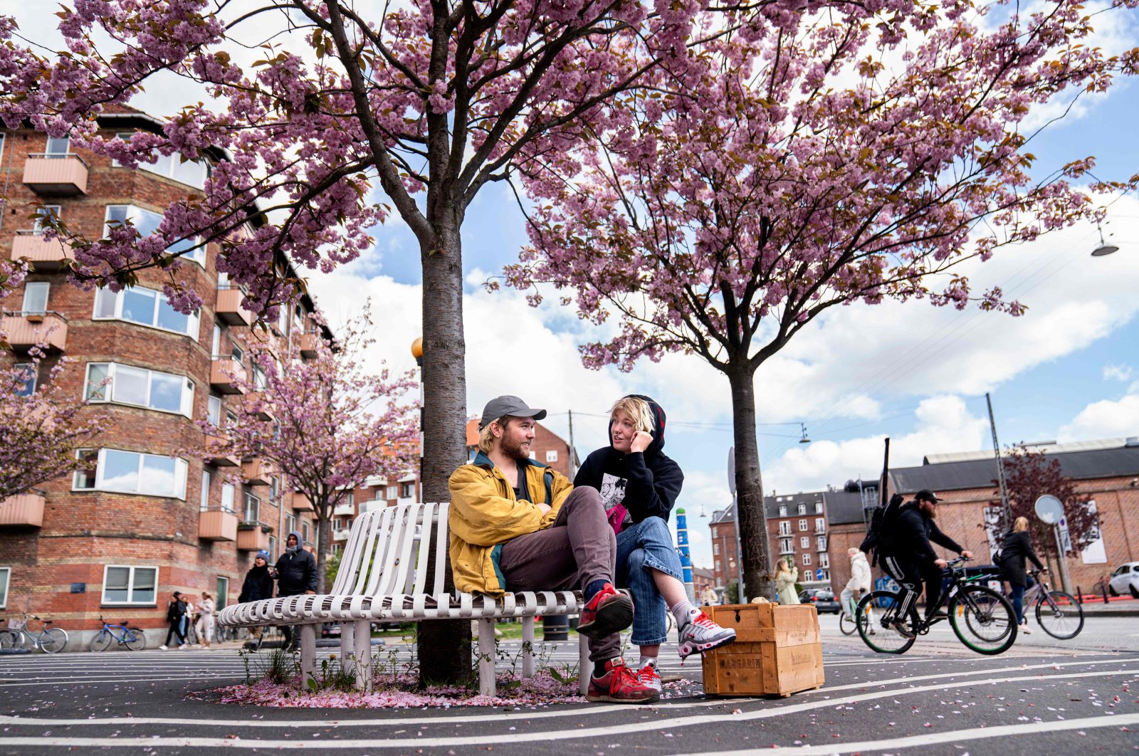 A man and woman sit on a bench under Japanese cherry trees in full bloom, Copenhagen, Denmark, May 3, 2020. (AFP Photo)