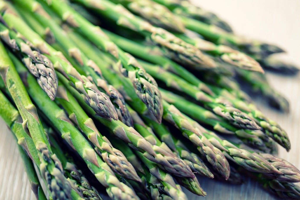 Tilkişen is a type of wild asparagus consumed widely in Turkey