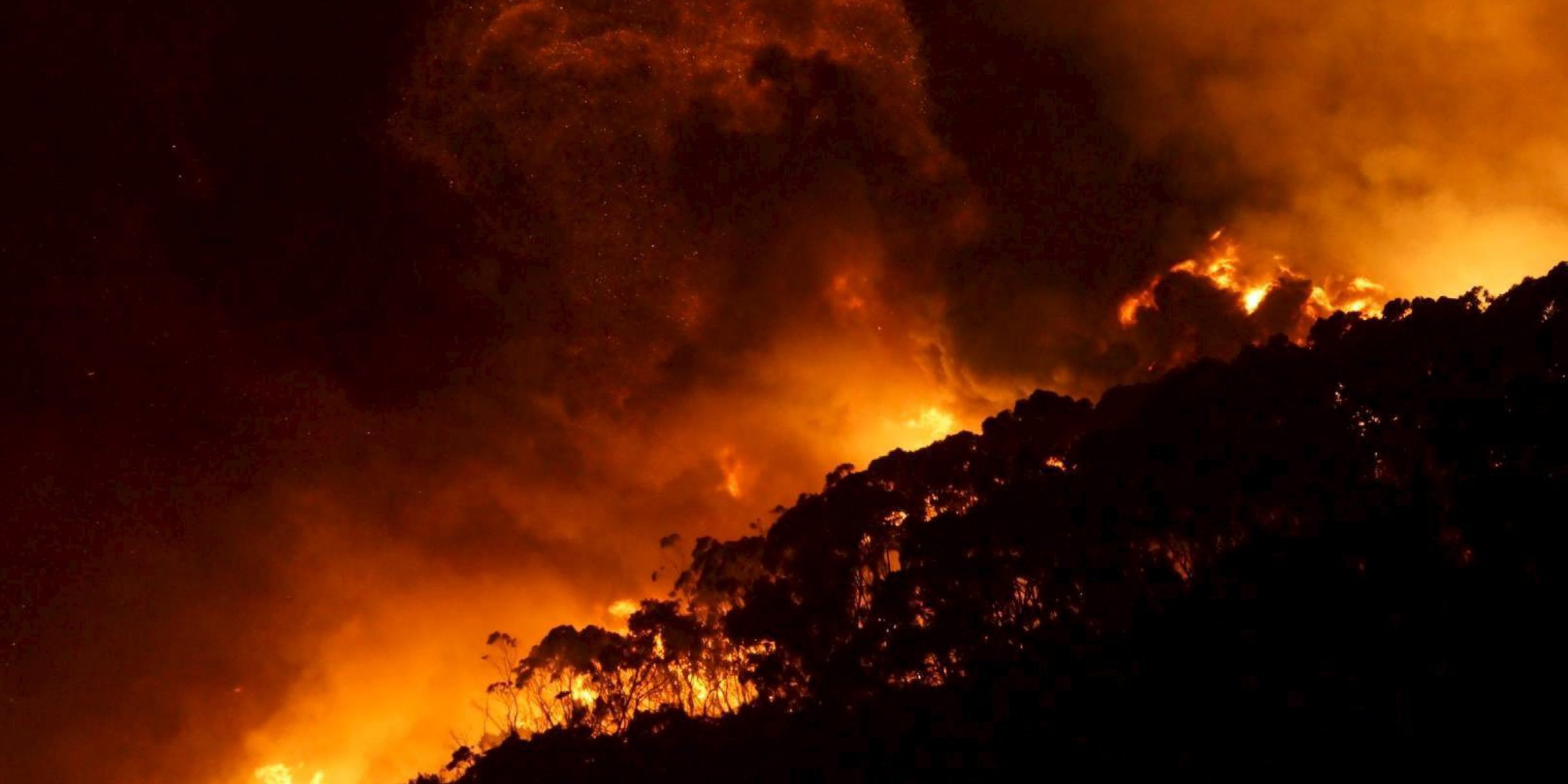 Australian bushfire smoke killed hundreds, inquiry hears | Daily Sabah