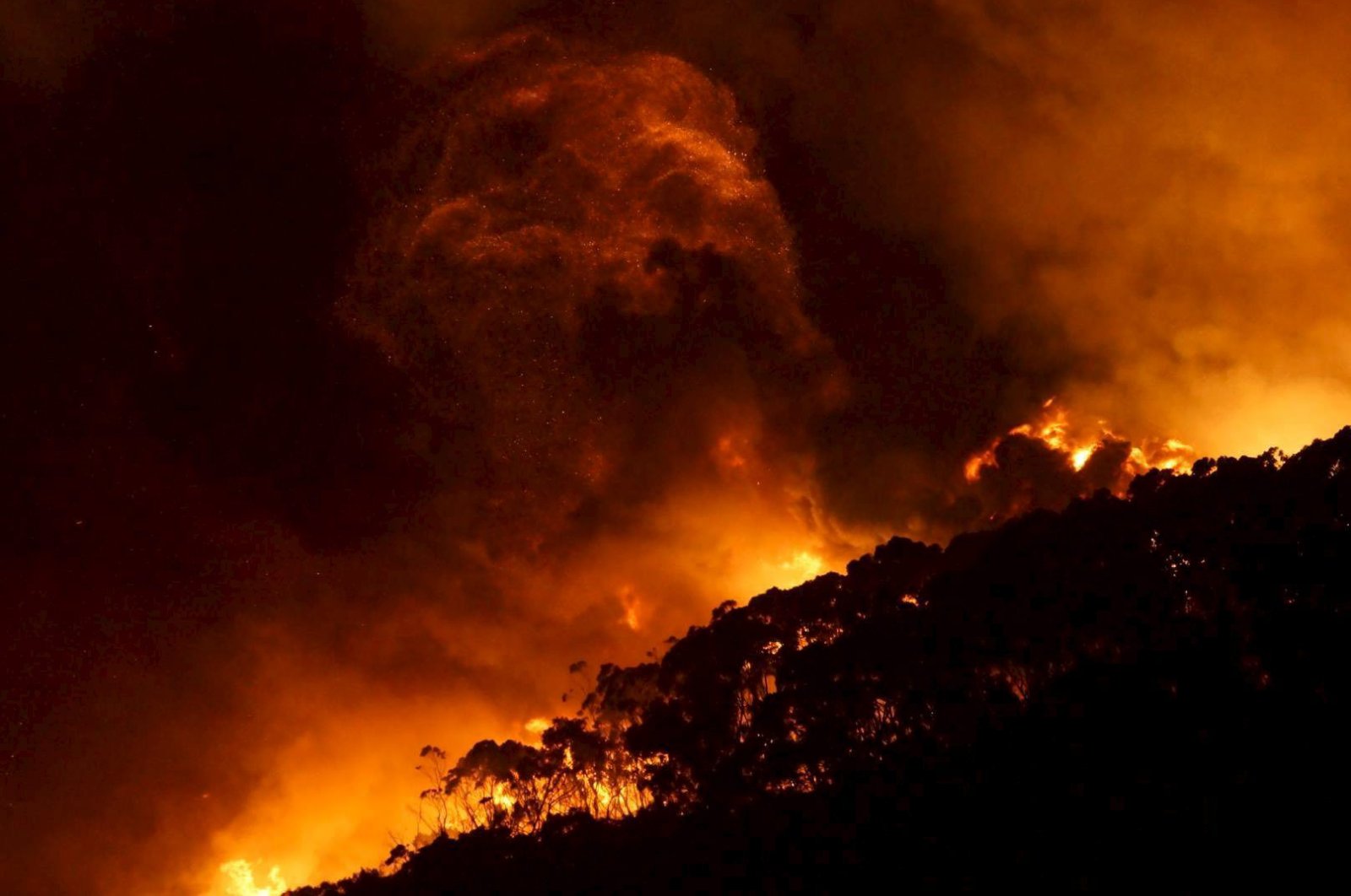 A bushfire burns at Wye River near Lorne, south of Melbourne, December 25, 2015. (Reuters/Keith Pakenham/AAP)