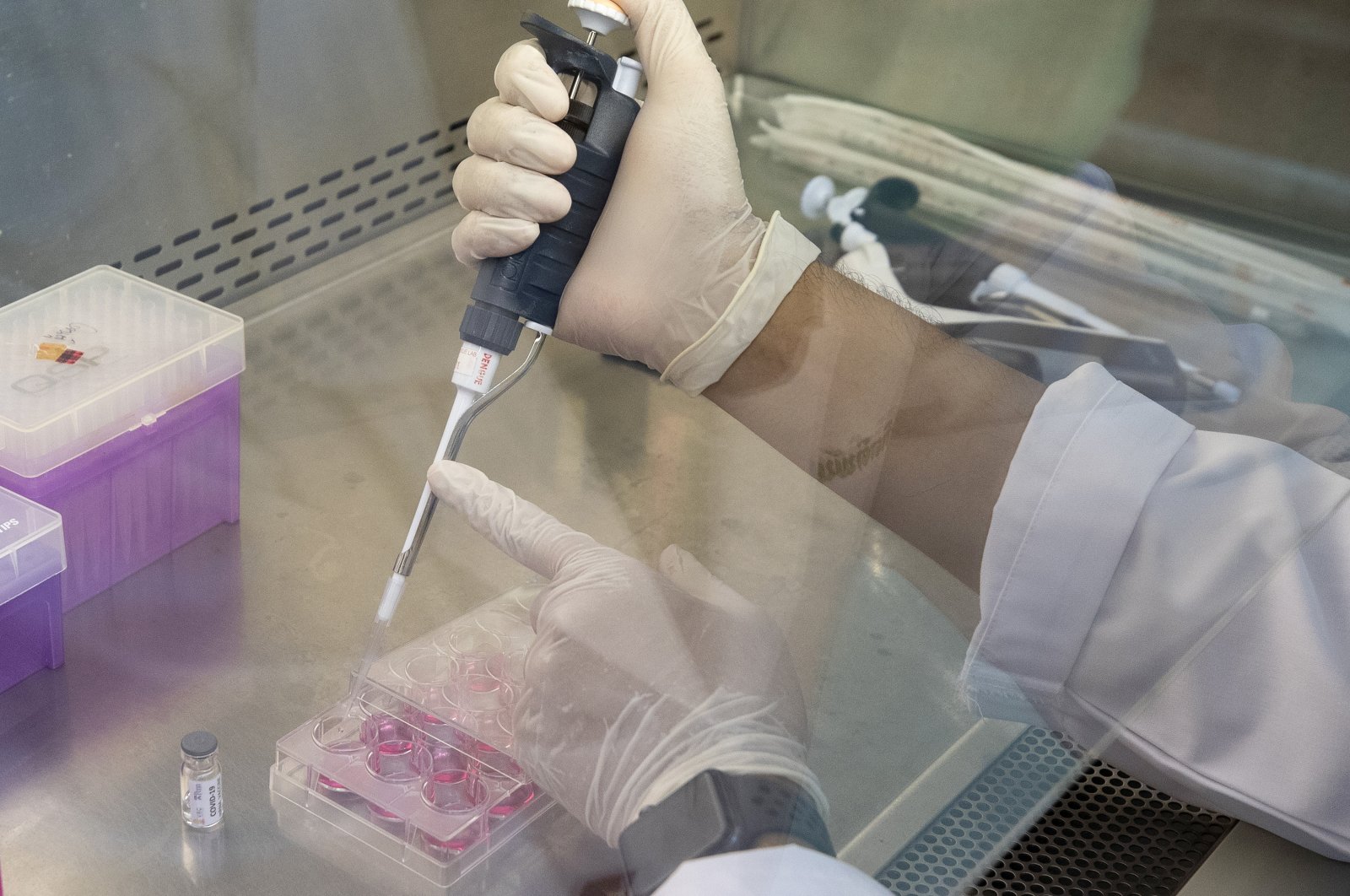 A lab technician extracts a portion of a COVID-19 vaccine candidate during testing at the Chula Vaccine Research Center, run by Chulalongkorn University in Bangkok, Thailand, Monday, May 25, 2020. (AP Photo)