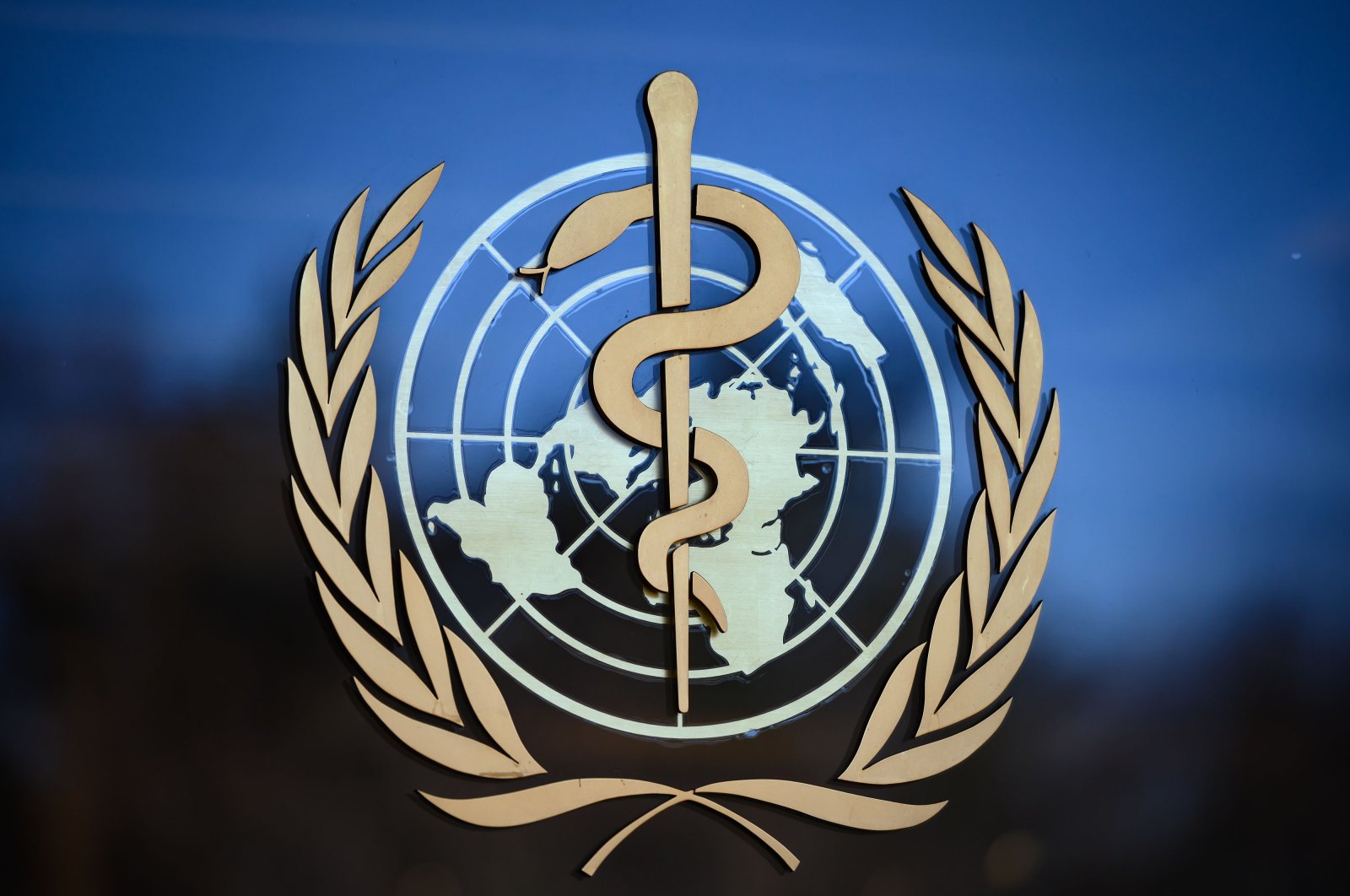 This photo shows the logo of the World Health Organization (WHO) at its headquarters in Geneva, Feb. 24, 2020 