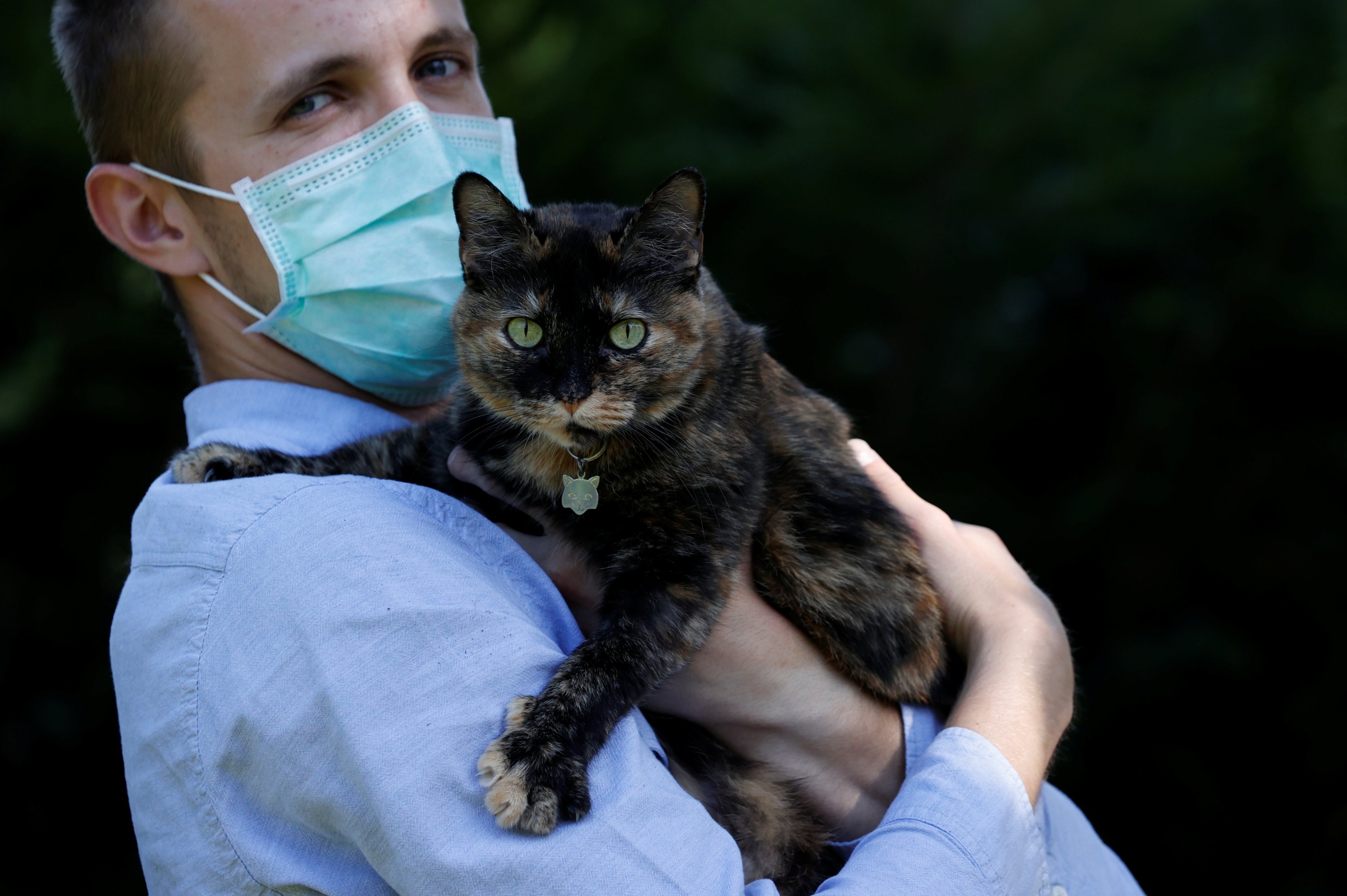 French Cat Survives Covid 19 Infection Daily Sabah