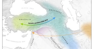 West Asia, which includes Anatolia, the Northern Levant and the Southern Caucasus, is seen in this partial map. The orange marker shows the route from Central Asia. (Max Planck-Harvard Research Center / via Reuters)