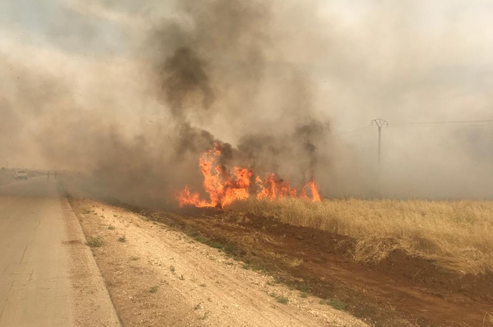 An agricultural field burned by the YPG terrorists in Operation Peace Spring area in northern Syria, May 26, 2020. (AA)