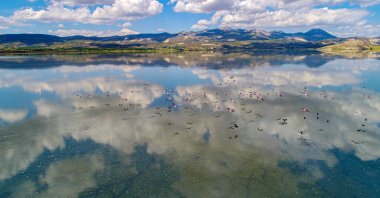 Migratory birds fly over Yarışlı Lake, Burdur, June 6, 2020. (DHA Photo)