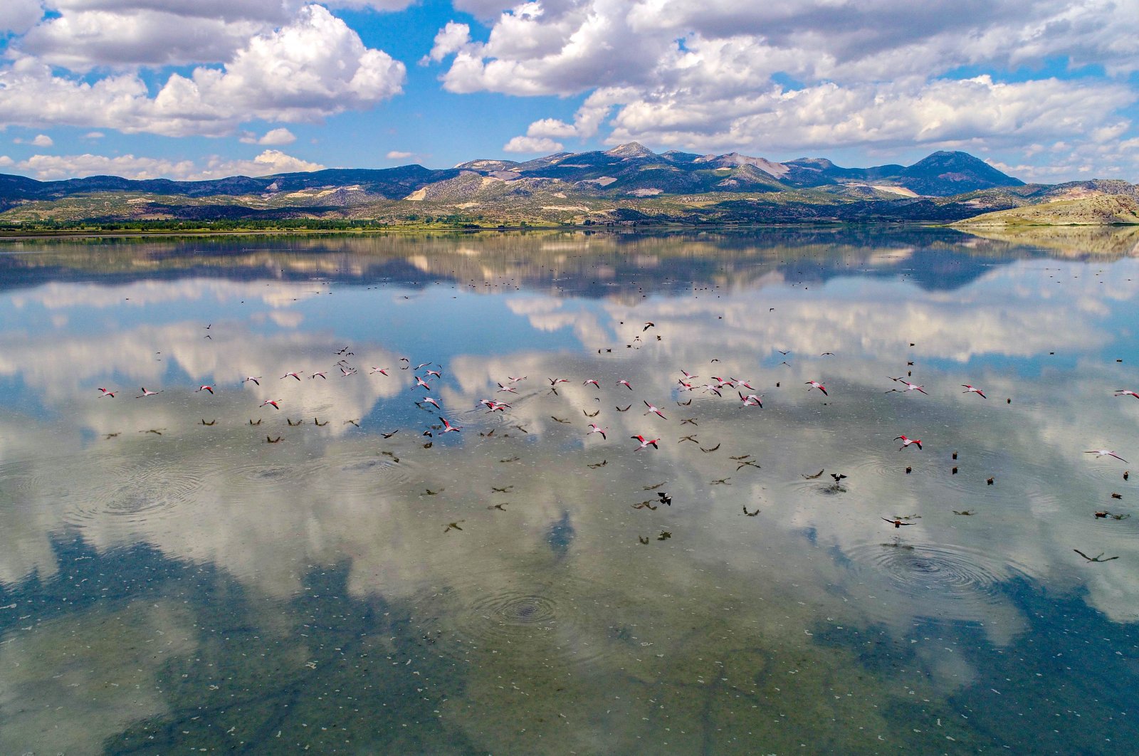 Migratory birds fly over Yarışlı Lake, Burdur, June 6, 2020. (DHA Photo)