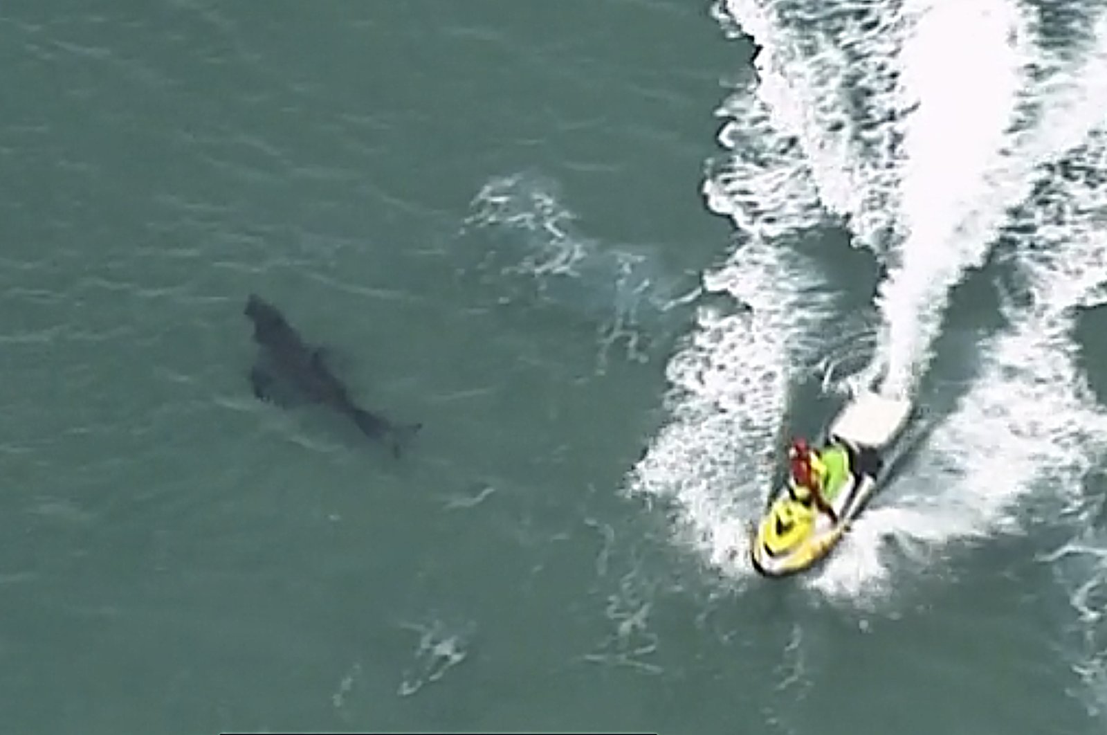 In this image made from aerial video, a jet ski passes over a shark swimming along the coast of Kingscliff, New South Wales, Australia, June 7, 2020. (ABC/CH7/CH9 via AP)