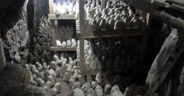 The Divle cave cheese will be ready to be consumed in the fall. (DHA Photo)