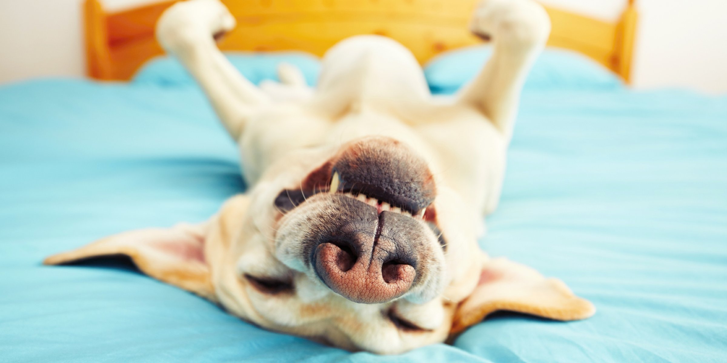 Being Sedentary Could Be To Blame For Your Snoring And Sleep Apnea 