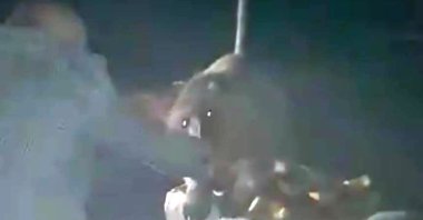 Picnickers feed young bears near Nemrut Crater Lake, Bitlis, June 13, 2020. (IHA Photo)