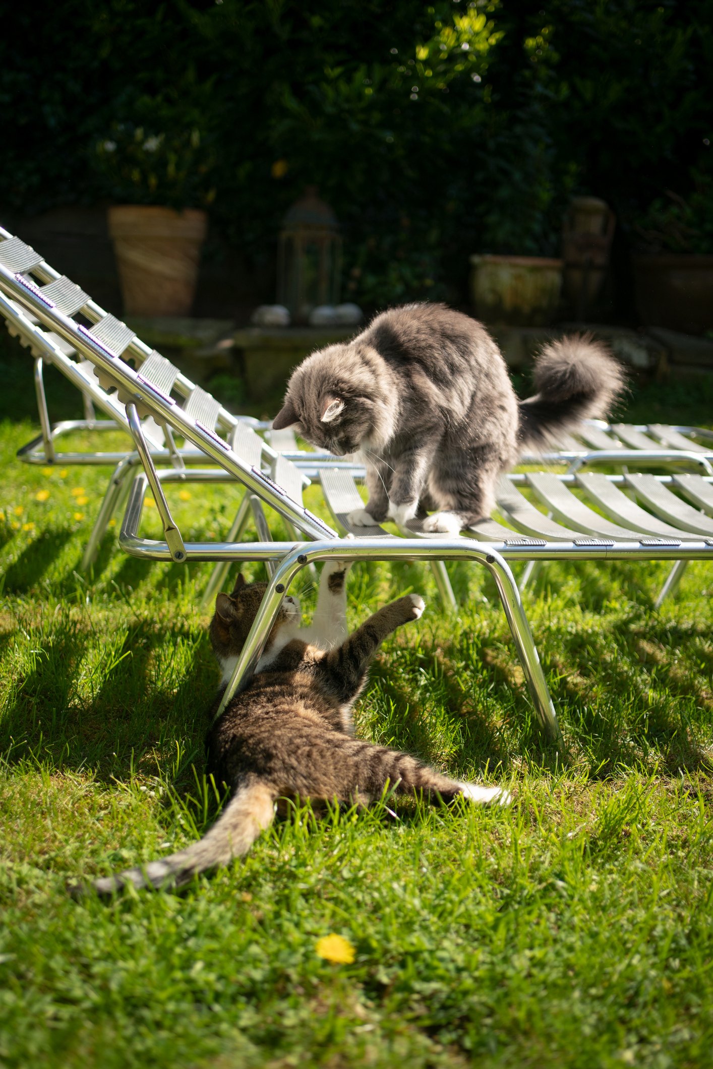 An aluminum deck chair is a good way to get a bit of extra sun in the garden. (iStock Photo)