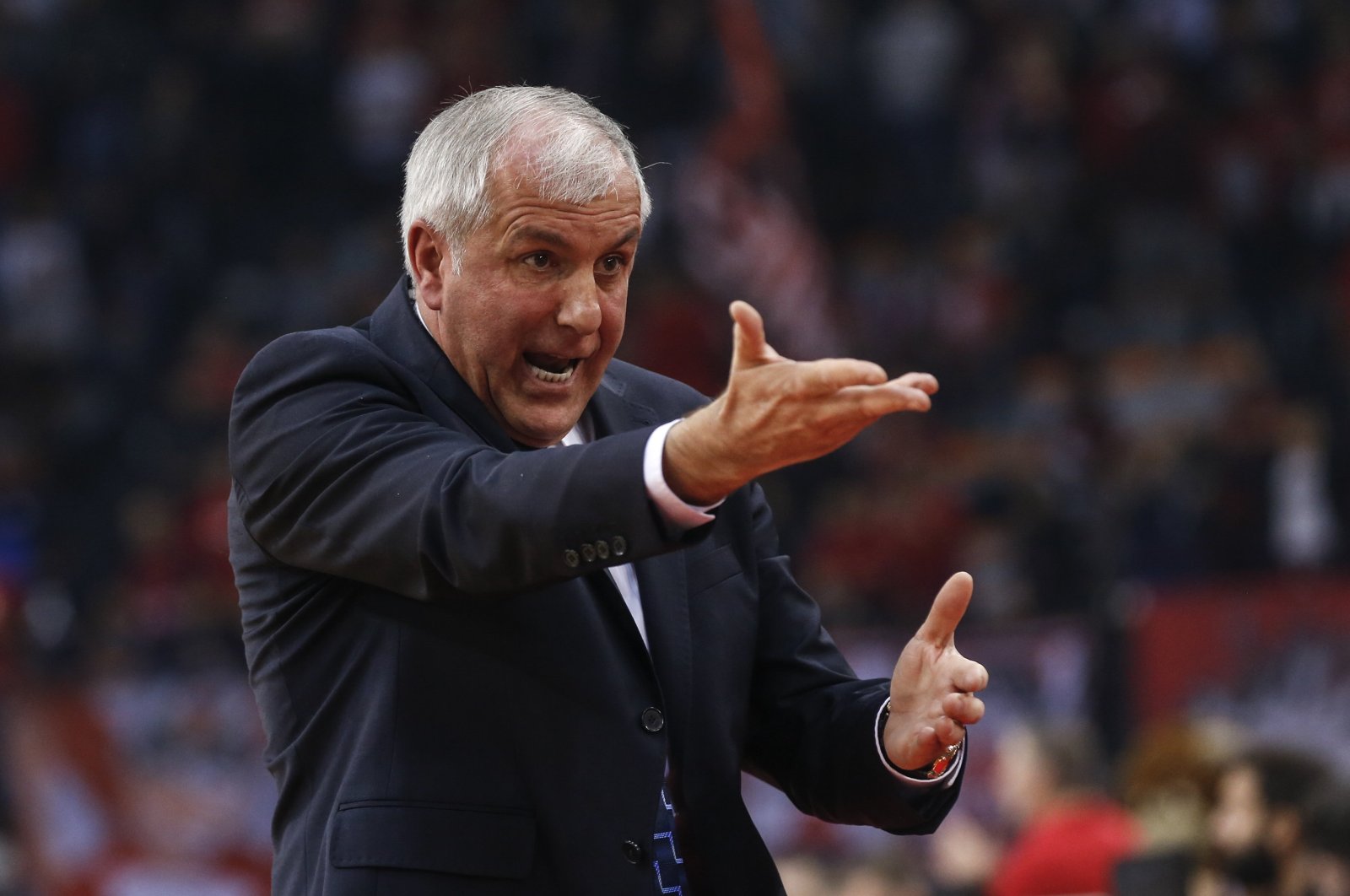 Zeljko Obradovic gestures during a EuroLeague match in Athens, Greece, Nov. 17, 2018. (AA Photo)