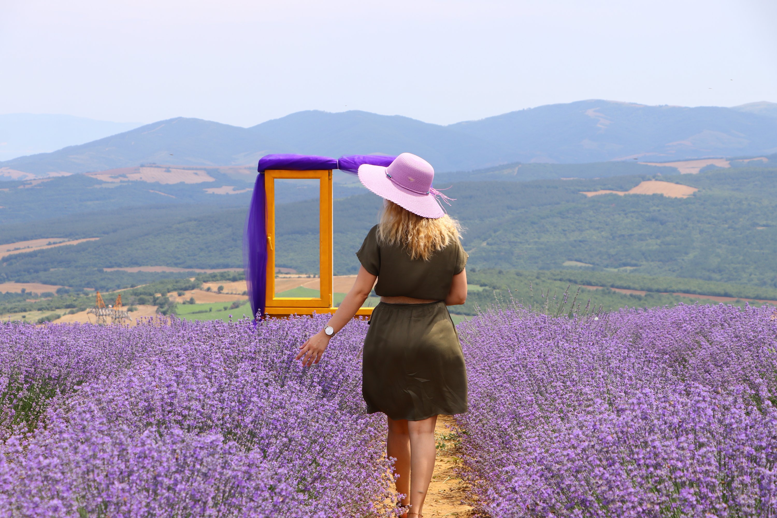 A woman walks among the blooming lavender in Tekirdağ, northwestern Turkey, June 21, 2020. (AA Photo)