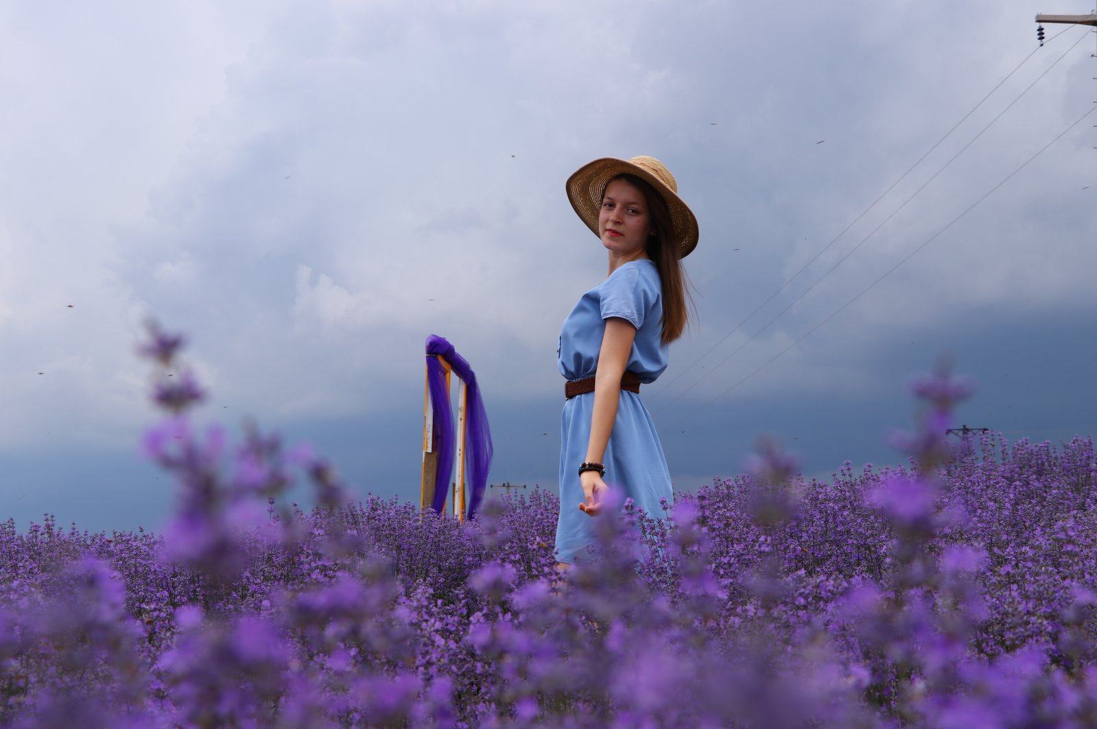 Lavender fields have proven popular spots in recent years for impromptu photo ops. (AA Photo)