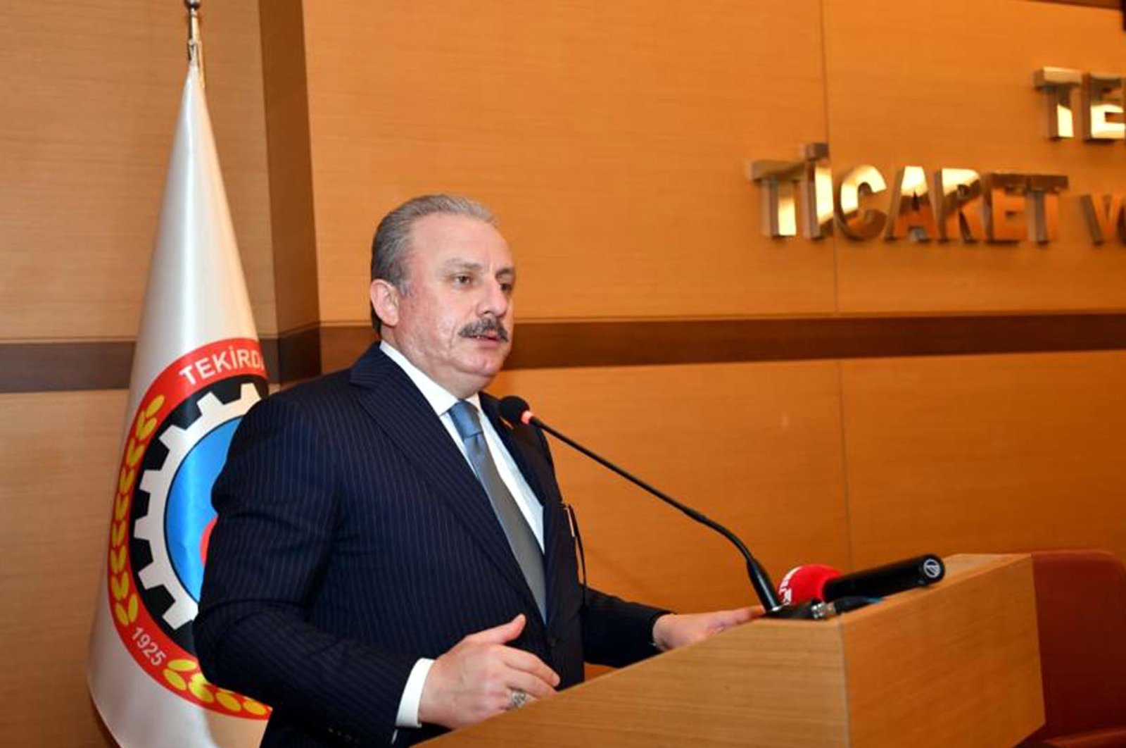 Parliament Speaker Mustafa Şentop speaks during a visit to Turkey's Tekirdağ province, June 20, 2020. (DHA Photo)