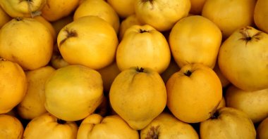 While most people's faces would pucker at the thought of eating quince raw, many Turks love to have some fresh slices of the fruit. (iStock Photo)