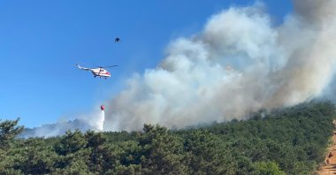 A forest fire broke out near Kayışdağı neighborhood in Istanbul’s district of Maltepe, on June 28, 2020. (DHA Photo)