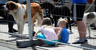 Children sit on the ground beside dogs at the residential homes of employees of abattoir company Toennies during their quarantine in the district Suerenheide of Verl, June 22, 2020. (AFP Photo)