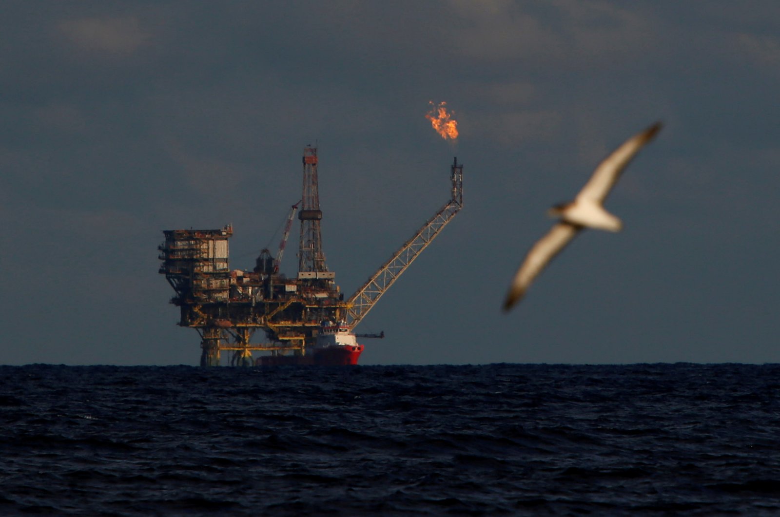 A seagull flies in front of an oil platform in the Bouri Oilfield some 70 nautical miles north of the coast of Libya, October 5, 2017. ( REUTERS Photo)