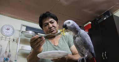 Hateme Karabulut feeds her parrot Sabri, in Sivas, Turkey, June 29, 2020. (AA Photo) 