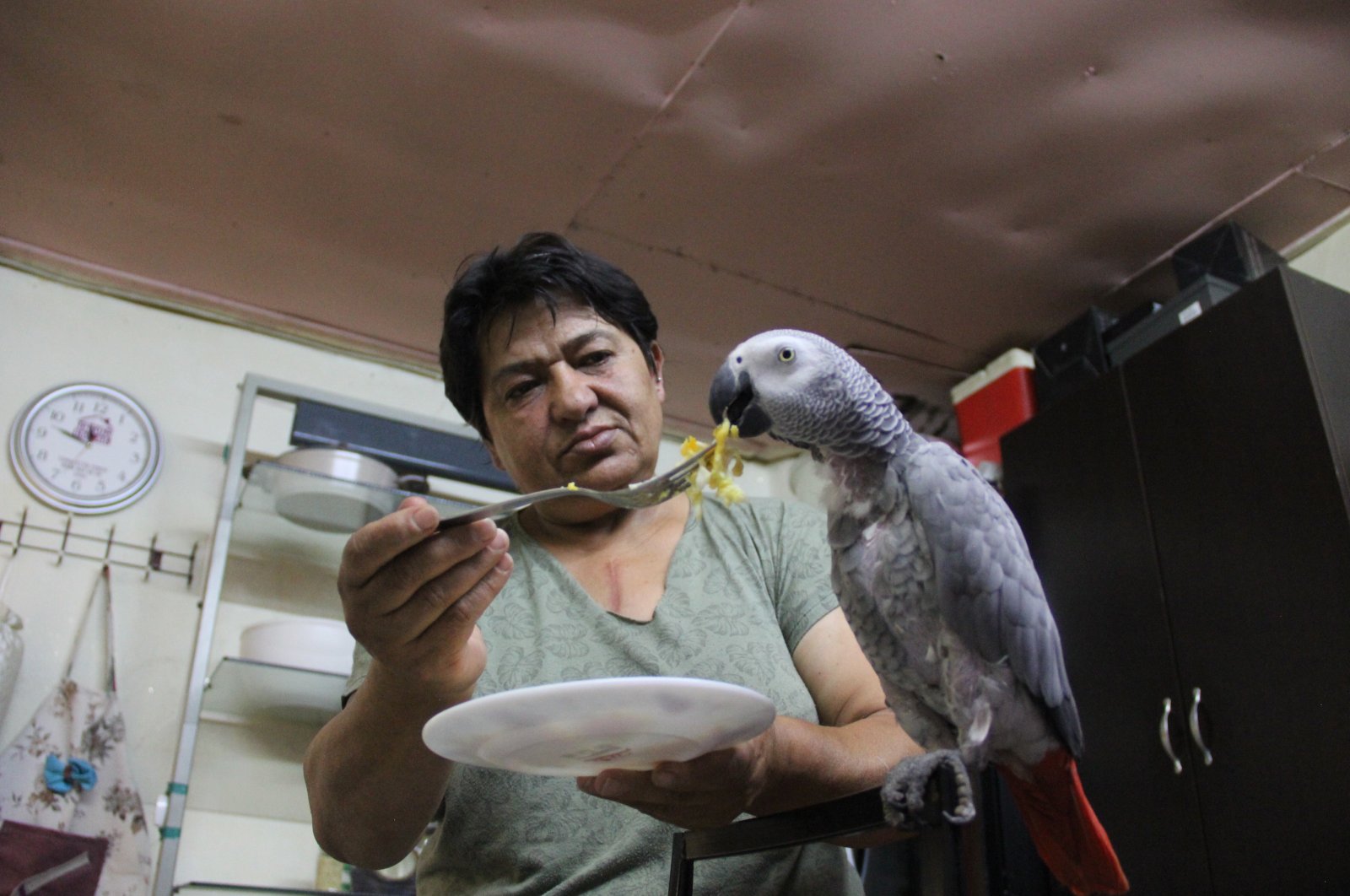 Hateme Karabulut feeds her parrot Sabri, in Sivas, Turkey, June 29, 2020. (AA Photo) 