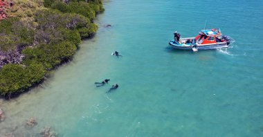 An archaeological research area in the Dampier Archipelago off the remote Western Australia coast, Sept. 9, 2019. (AFP Photo)