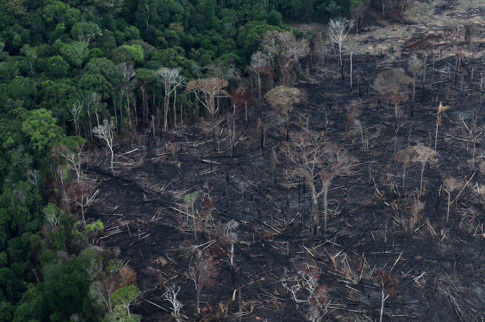 An aerial view of a tract of Amazon jungle after it was cleared by farmers in Itaituba, Para, Brazil, Sept. 26, 2019. (Reuters Photo)