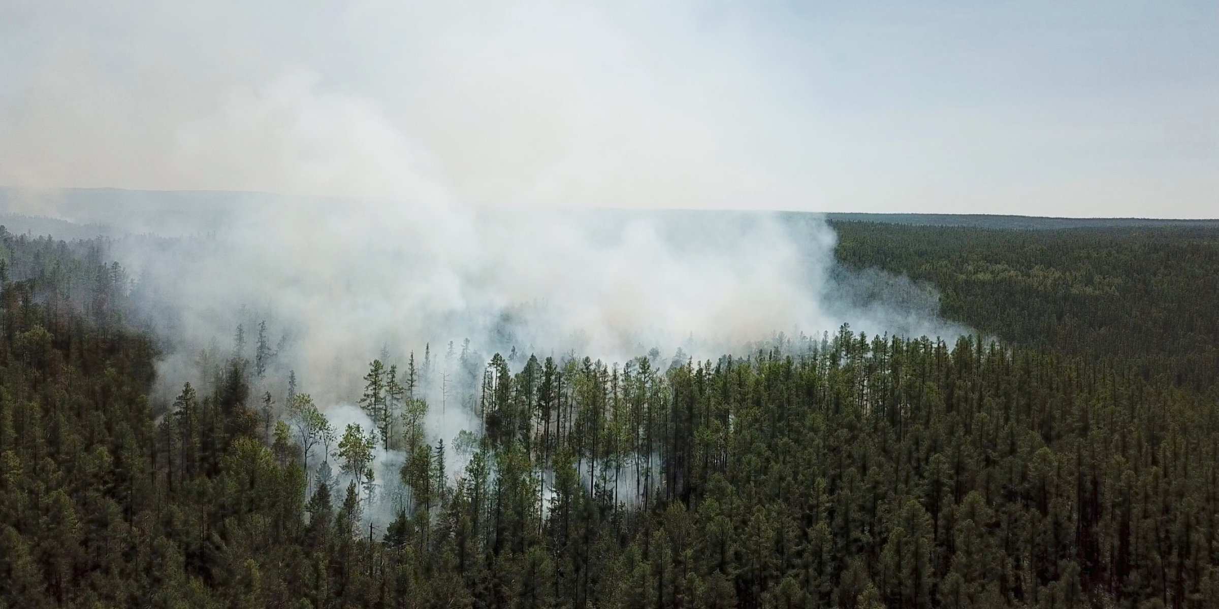Nearly 300 wildfires in Siberia amid record warm weather | Daily Sabah