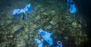 Researchers found disposable masks and gloves used as a protection against COVID-19 in rivers across Europe. (AFP Photo)