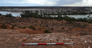 Shells exposed on the Pike cliff line on the River Murray (Photo courtesy of Flinders University)