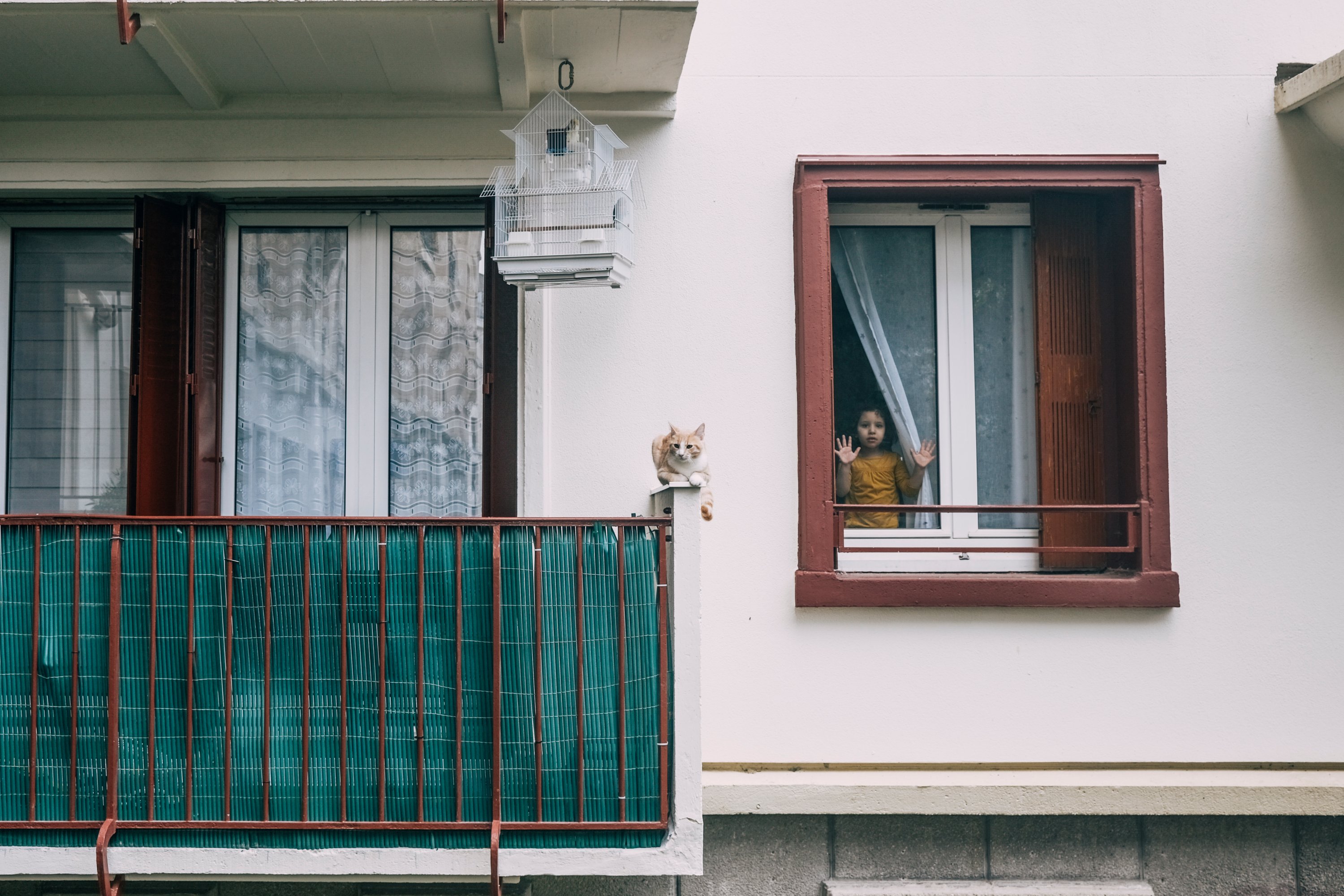 A cat sits on a balcony ledge, just under a cage with birds, as a little girl looks out the window in France, May 10, 2020. (Reuters Photo)