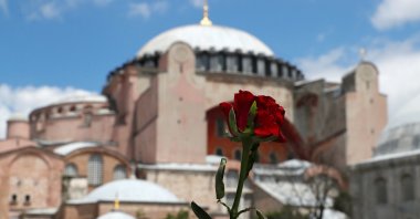 A red rose is attached to the security barriers in front of the Hagia Sophia in Istanbul, July 17, 2020. (REUTERS)