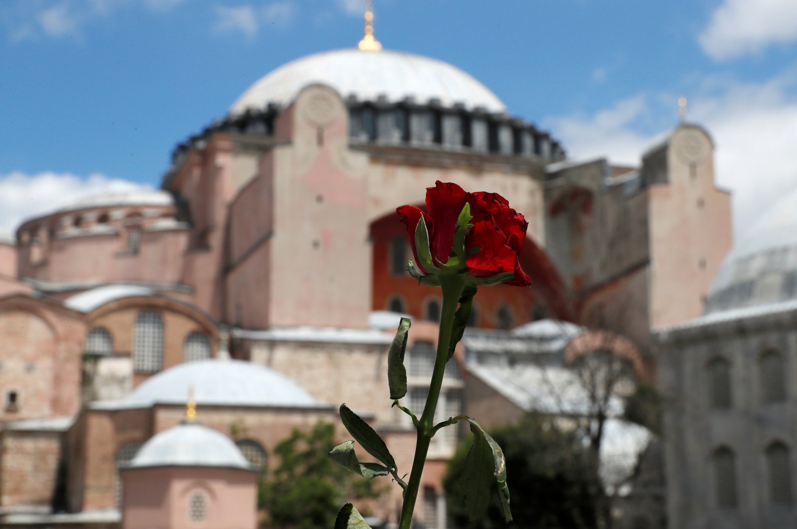 A red rose is attached to the security barriers in front of the Hagia Sophia in Istanbul, July 17, 2020. (REUTERS)