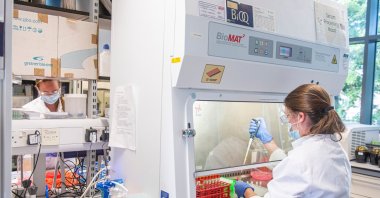 In this handout photo released by the University of Oxford samples from the coronavirus vaccine trials, from various parts of the country, are handled inside the Oxford Vaccine Group laboratory in Oxford, England Thursday June 25, 2020. (AP Photo)