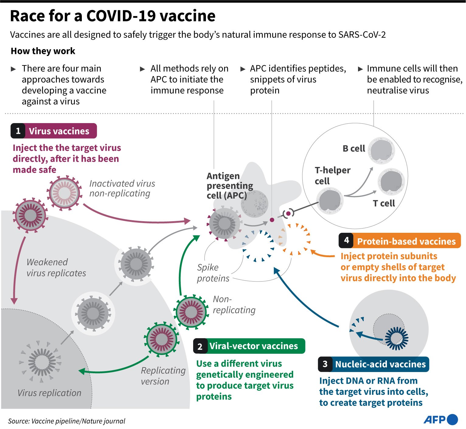 Graphic on the main approaches in the development of a vaccine.