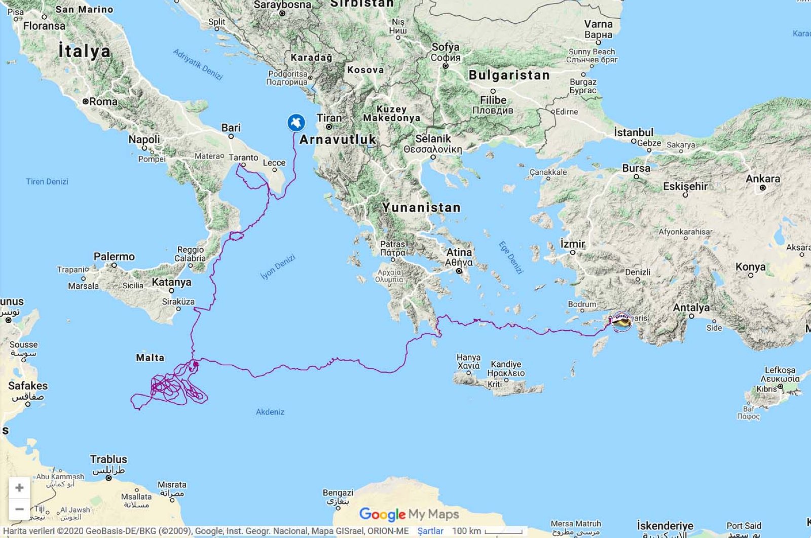 A map shows the route of a loggerhead sea turtle (Caretta caretta) from the town of Dalyan in southwestern Turkey to the Adriatic coast of Albania, as tracked by the Sea Turtle Research, Rescue and Rehabilitation Center and Hospital (DEKAMER), July 20, 2020. (AA Photo)