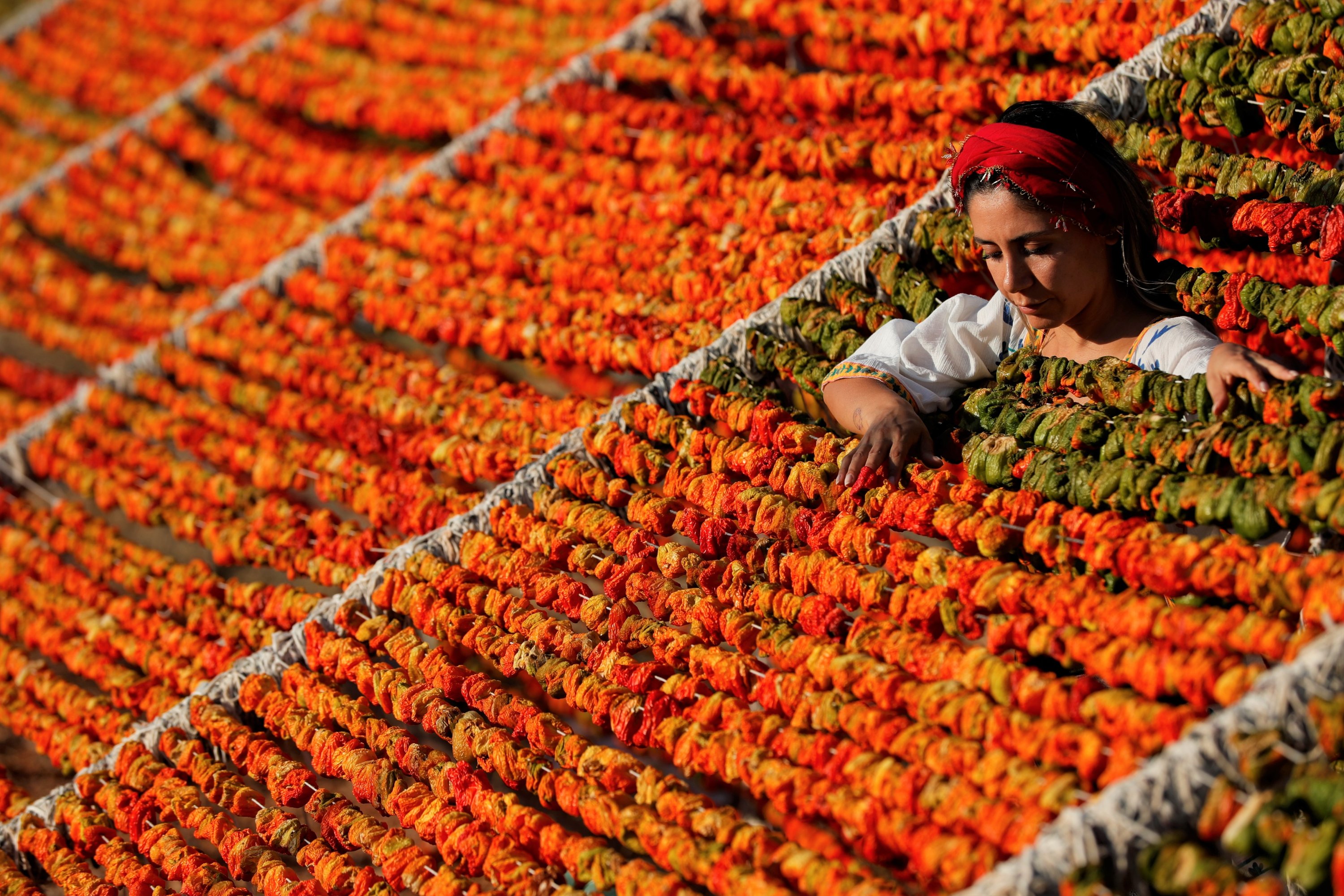 A woman examines produce drying in the sun in southeastern Gaziantep province, Turkey, July 22, 2020. (AA Photo)
