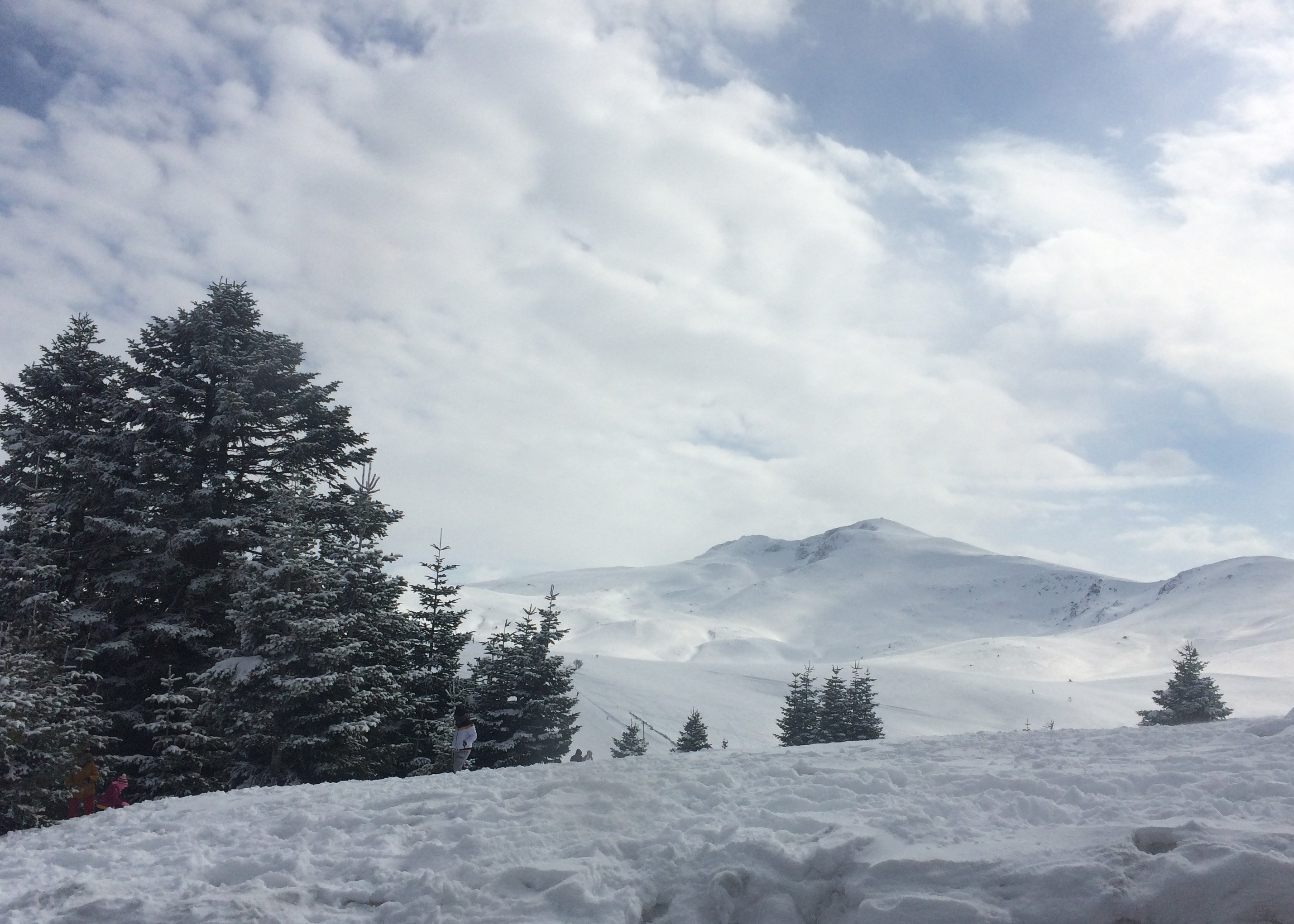 Snow drifts and pine trees are seen near the ski slopes of Mount Uludağ, Bursa, northwestern Turkey, Feb. 22, 2020. (Gabriela Akpaça / Daily Sabah)